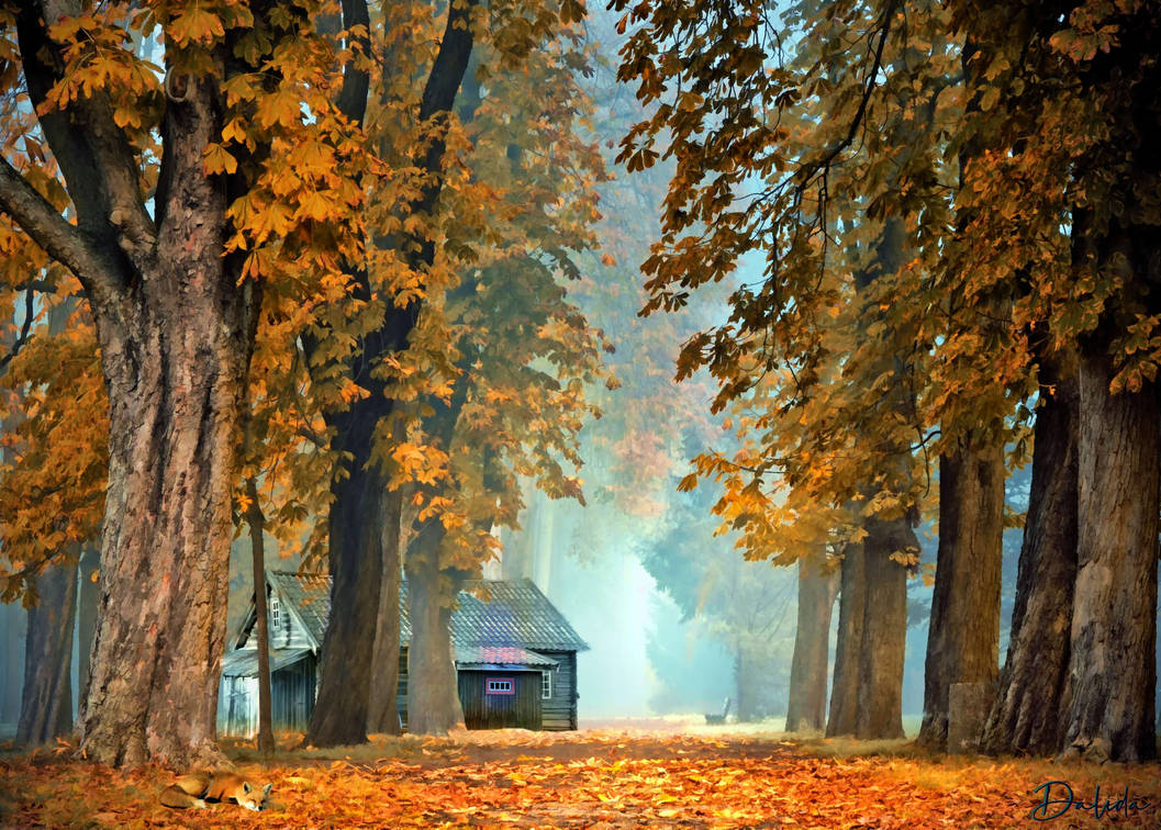 Вдруг среди листвы видишь. Осенний листопад. Осень листопад. Осенний лес листопад. Осенние листья кружатся.