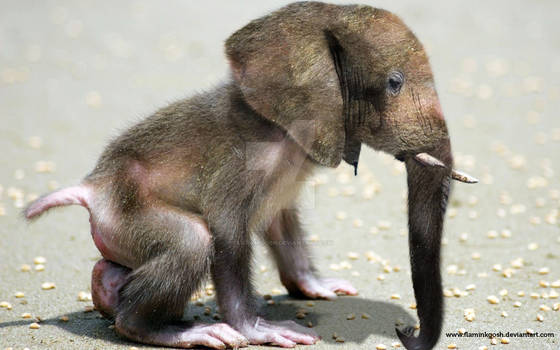 Monkeylephant