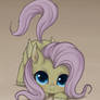 Fluttercat
