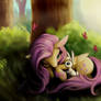 Fluttershy (practica)