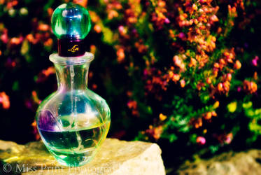 Perfume Bottle 2