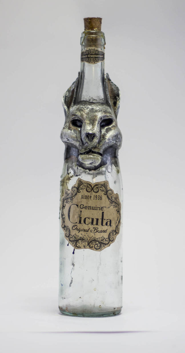 Cat Bottle by FraterOrion