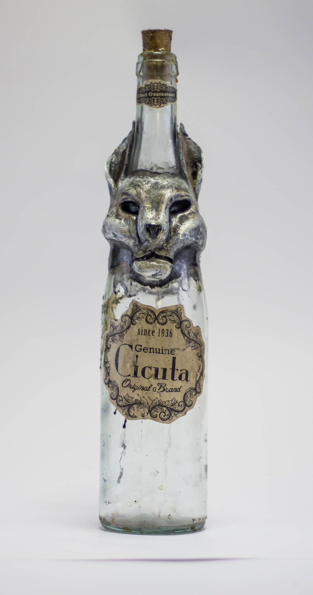 Cat Bottle by FraterOrion