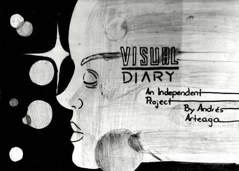 Visual Diary Cover