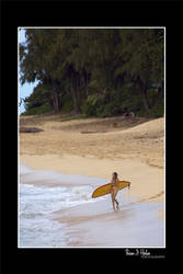 'Little Surfer Girl'