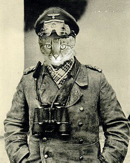 Field Marshal Erwin Rommeow