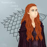 .: The North Remembers :.