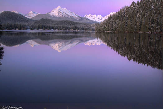 Purple Reflection