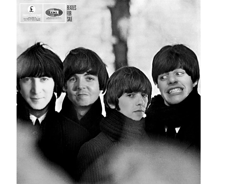 Beatles For Sale Album...