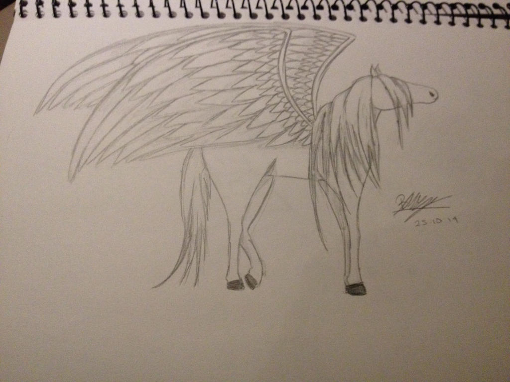 Pegasus