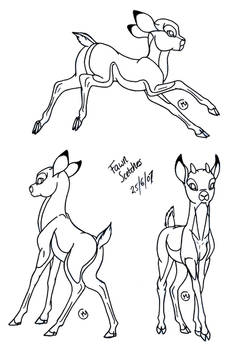Fawn Sketches