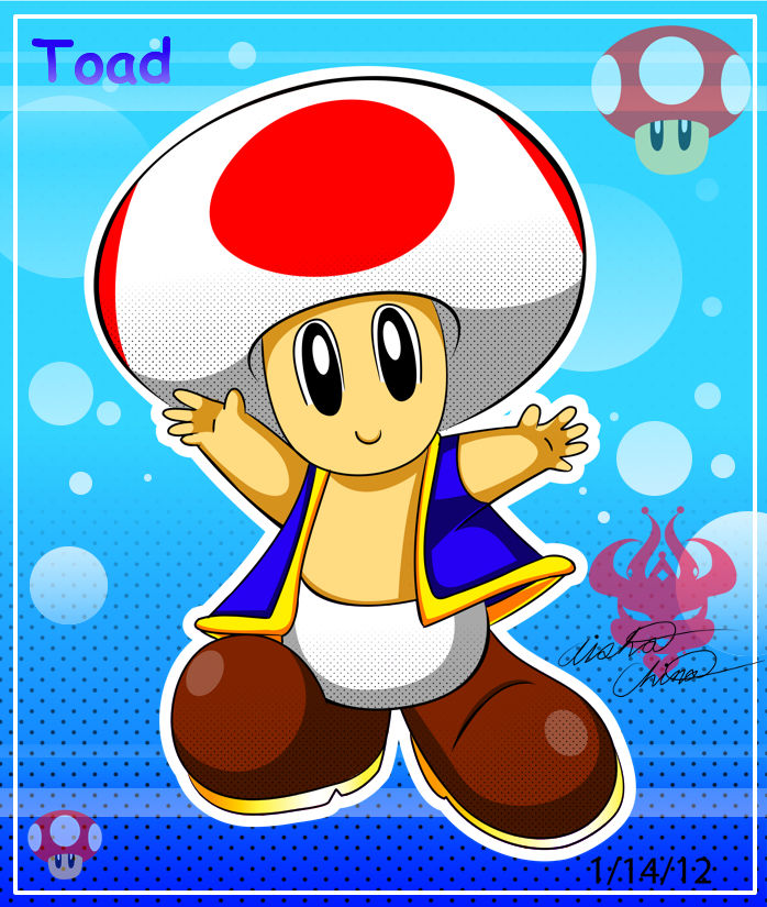 Tibia Toad ::Toad:: by Bowser2Queen on DeviantArt