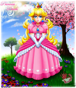 Princess Peach 2010 remake