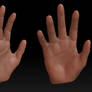 Sculpted Hands