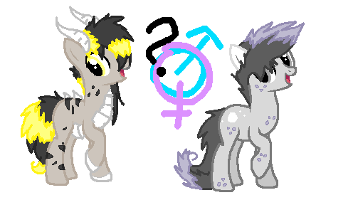 pony adopt