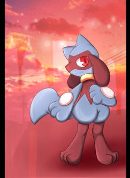 riolu