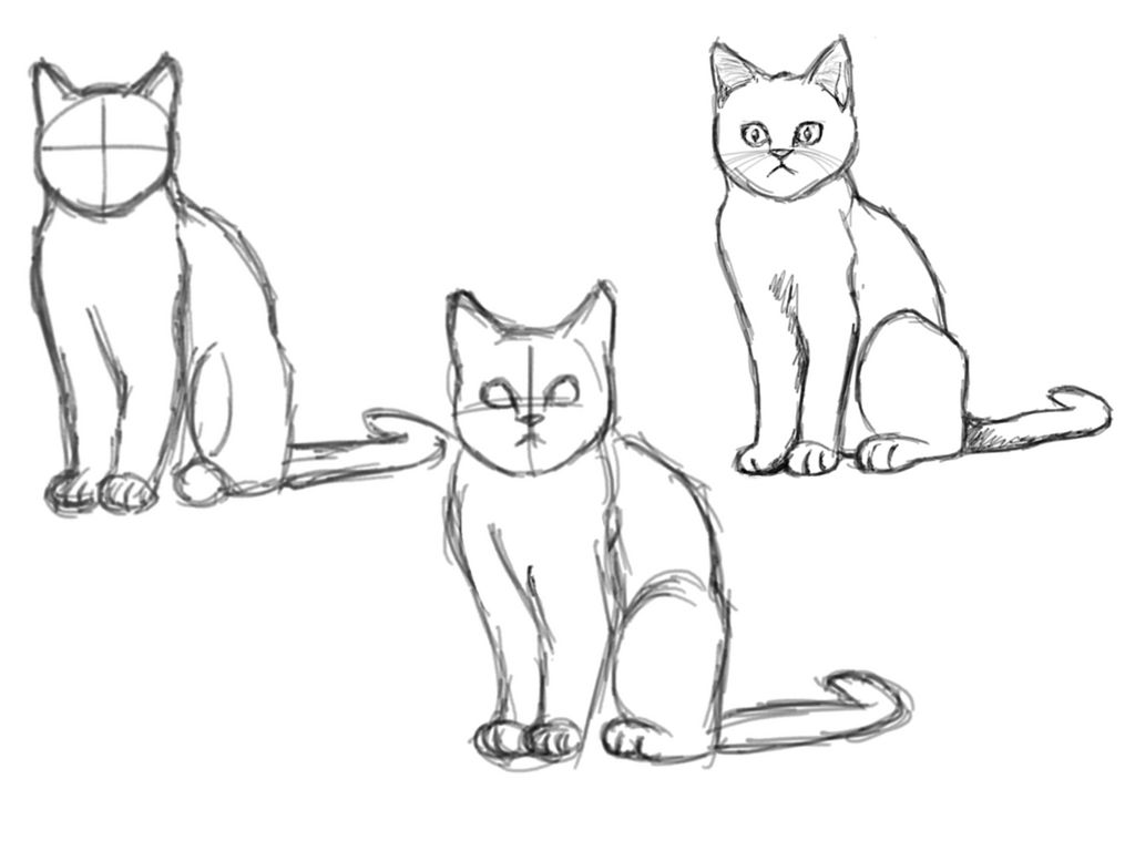 Sitting Cat Iterative Drawing By Drawing Diversions On Deviantart Sitting Cat Iterative Drawing By Drawing Diversions On Deviantart