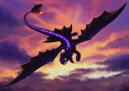 Toothless / Night Fury