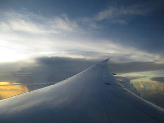 Airplane wing