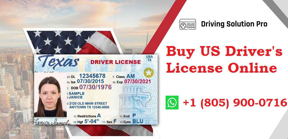 High-Quality How To Get A Us Driving License Scene Illustration High-Quality How To Get A Us Driving License Scene Illustration
