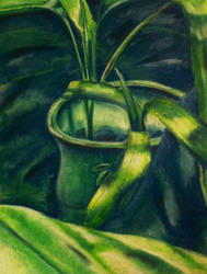 Bamboo Still Life