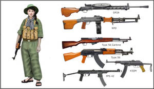 Vietnam War - Vietcong Fighter - Vietcong weapons