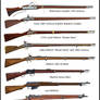Evolution of the British army long weapons