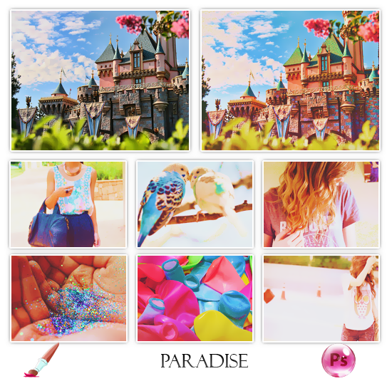 +Paradise {PSD}