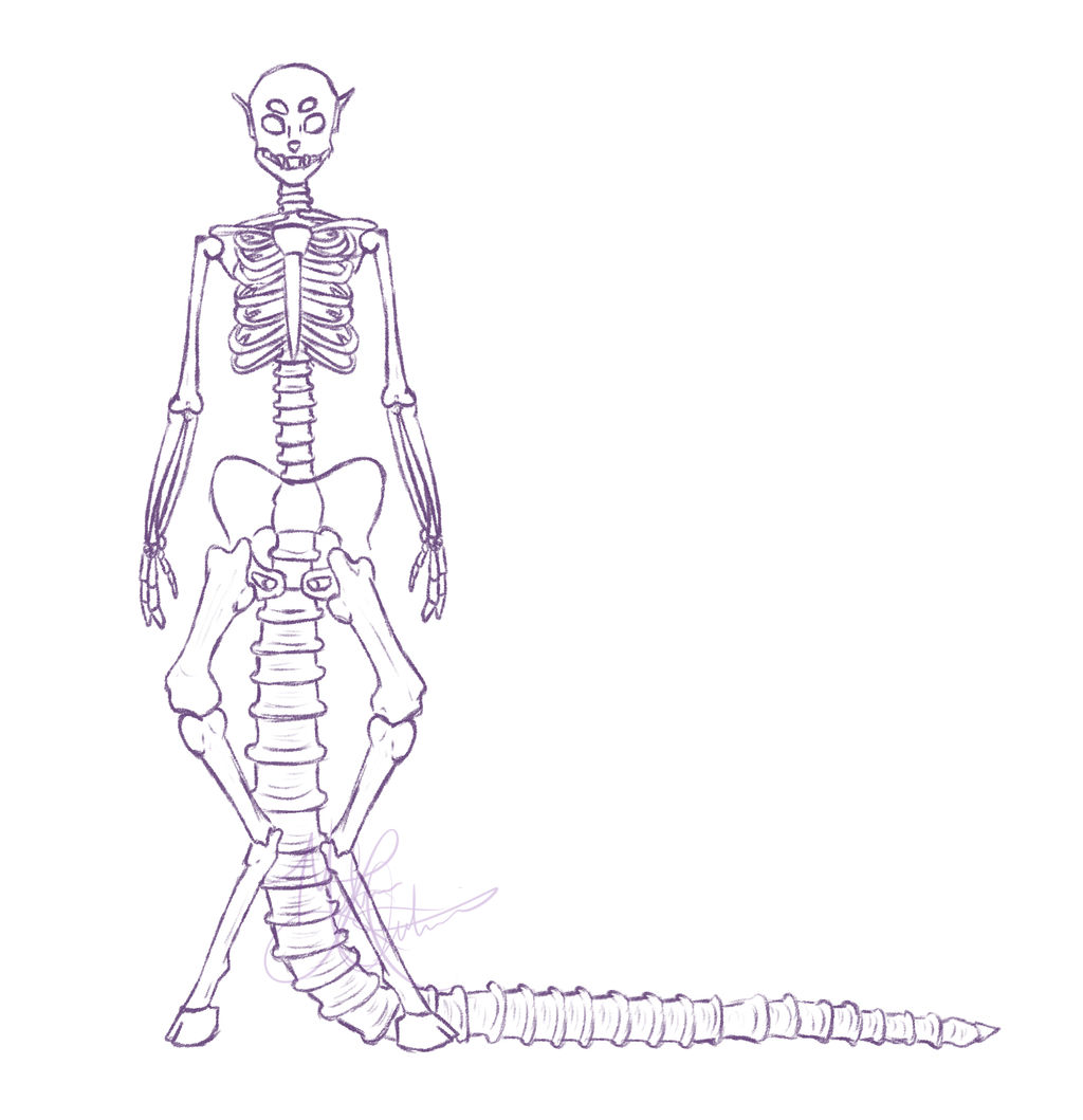 Divi Anatomy - Skeleton by Captain--Beeee on DeviantArt