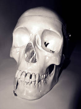 skull 1a