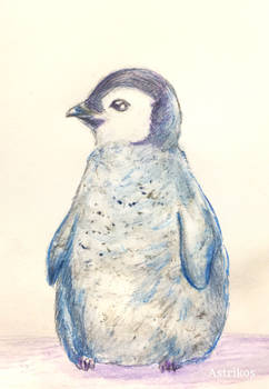 Penguin Prize