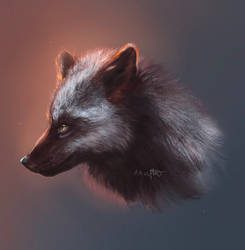 happy fox