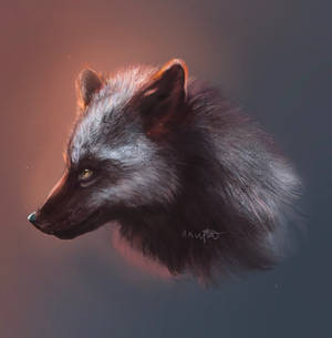 happy fox