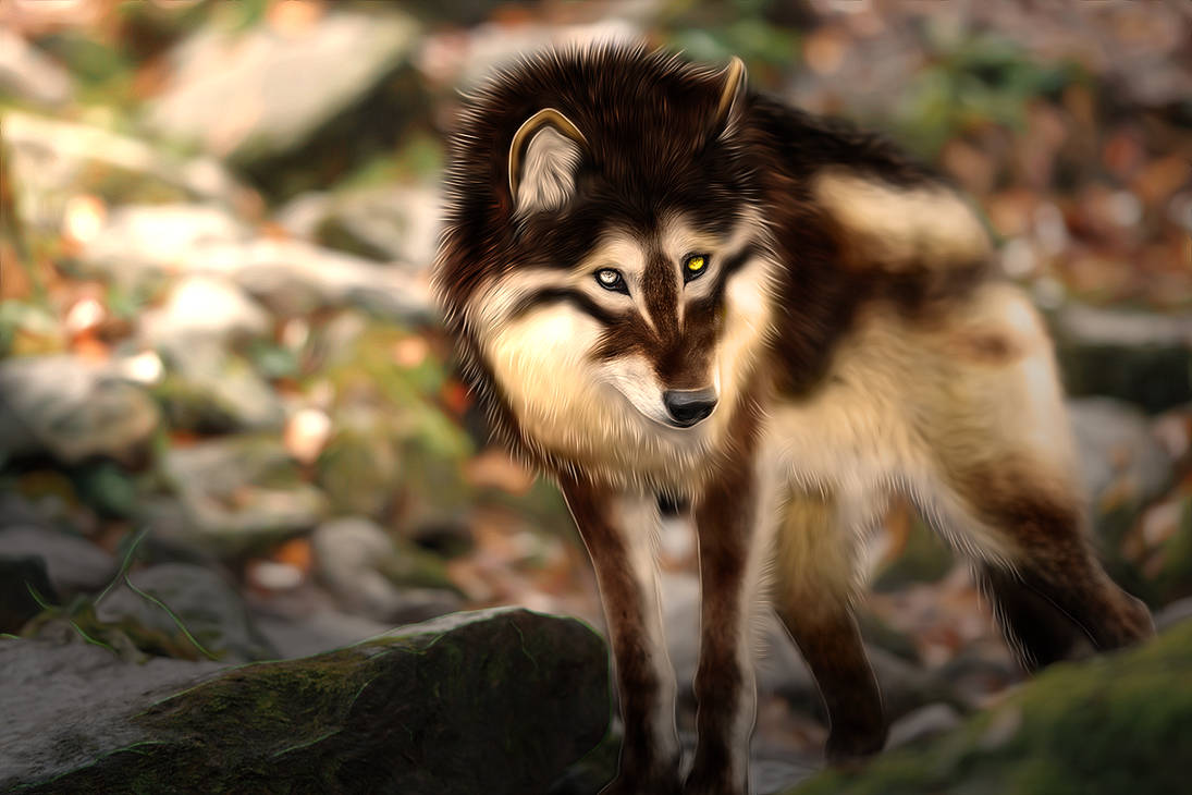 rohan by bunnyrip on DeviantArt