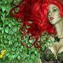 Poison Ivy