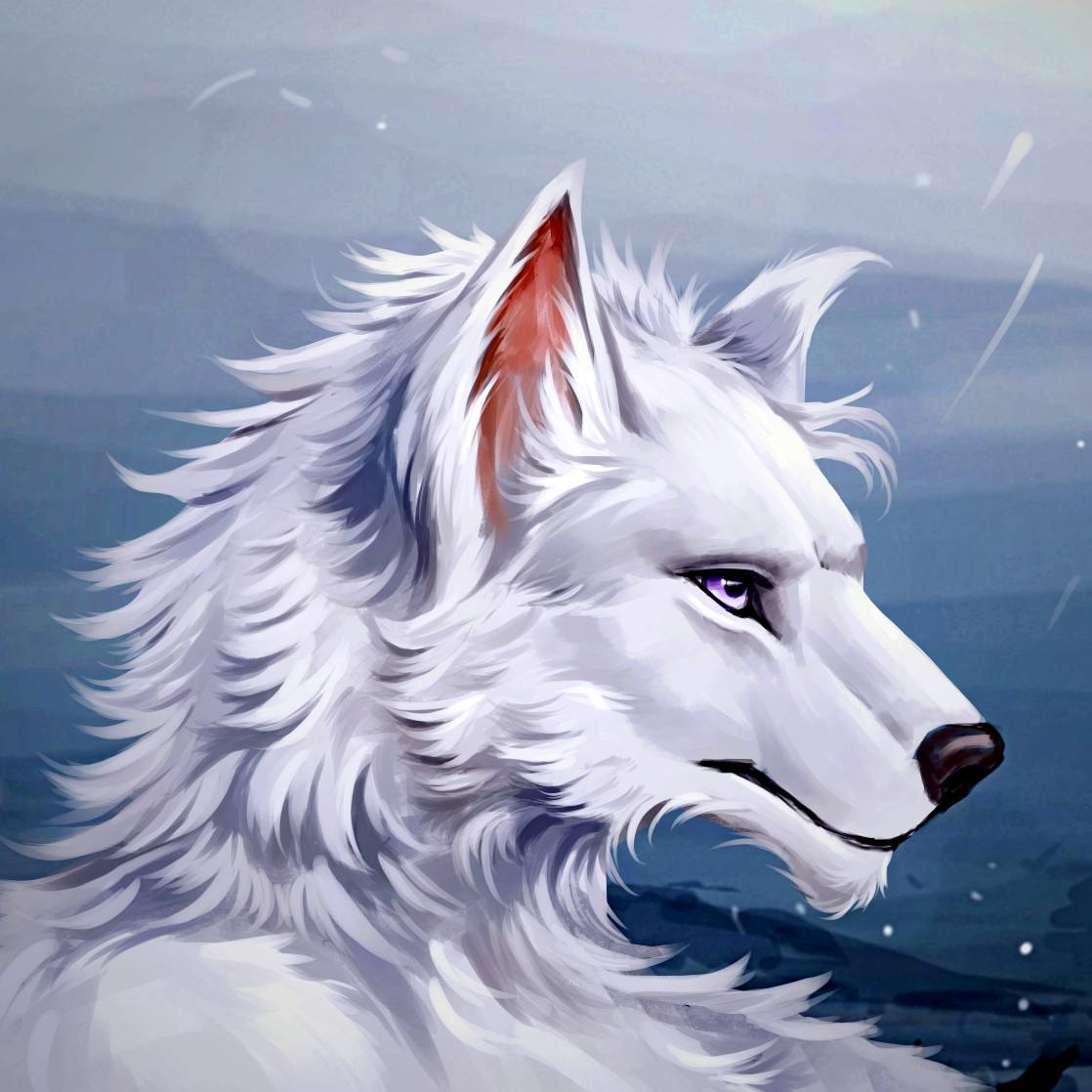white wolf by Shrubiya on DeviantArt