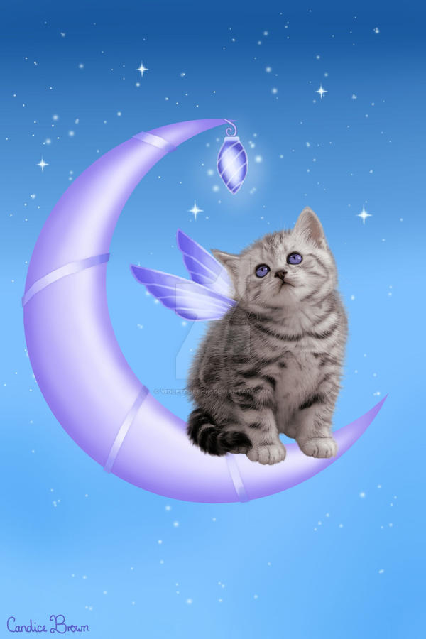 Moon Fairy Kitten I