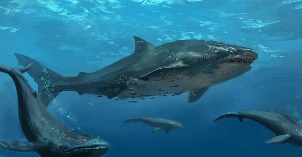 Carcharocles Megalodon by RAPHTOR