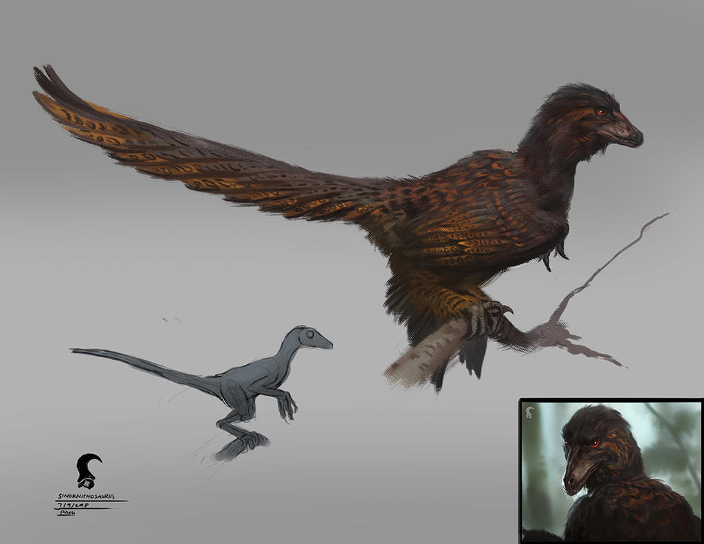 Sinornithosaurus Your Favorite Artwork(s) of Your Favorite Fossil Species - Page 4