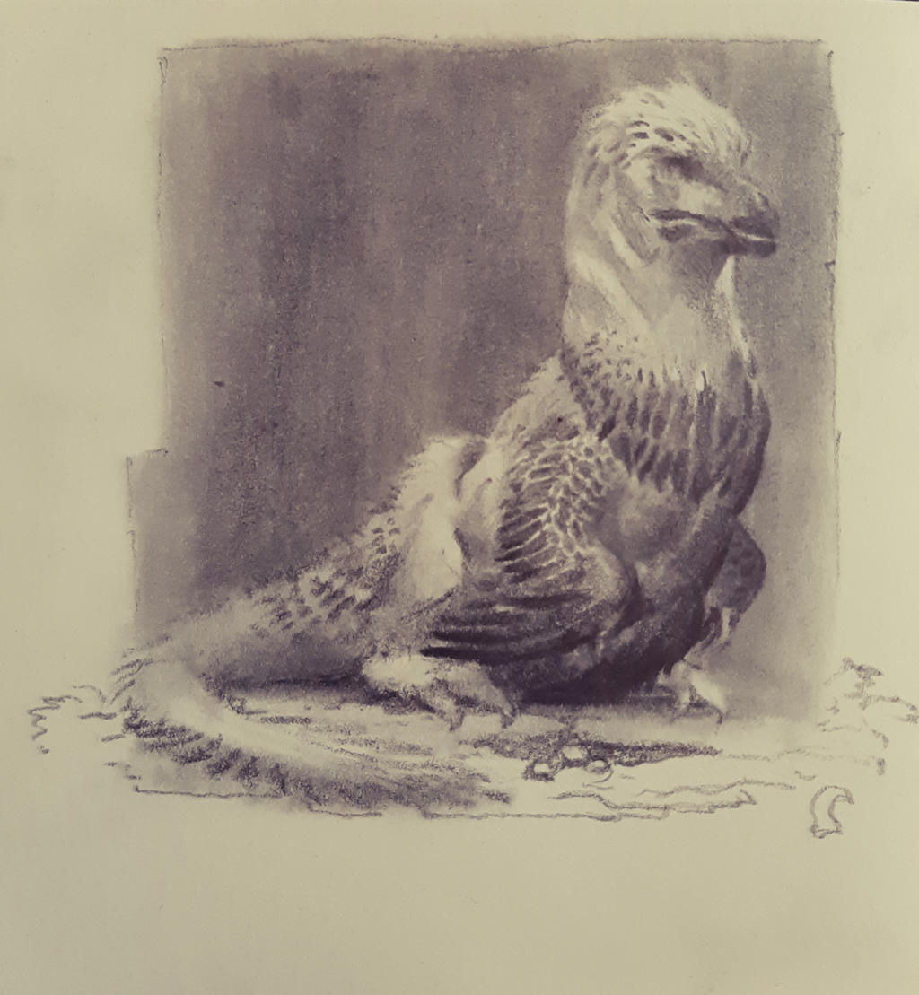 Raptor pencil sketch by RAPHTOR on DeviantArt