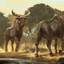 Sivatherium