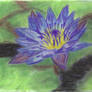 Pastel Water Lily by Black Dwarf Designs