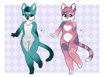 $8 Adoptable Kitties [OPEN]