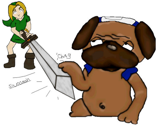 Link vs. Pakkun