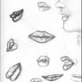 Lip study