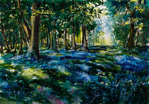 Forest with bluebell