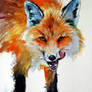 Red fox hunter