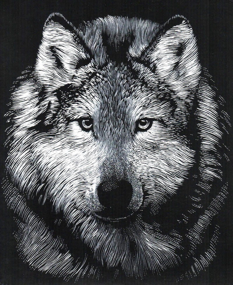 Silver Wolf Engraving