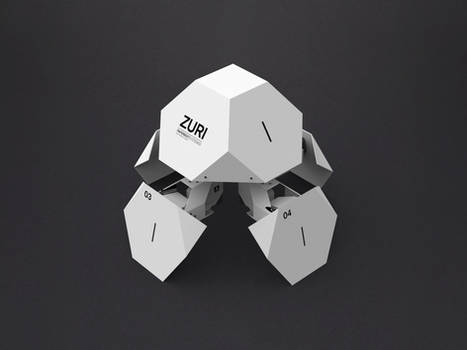 zoobotics / ZURI 03