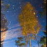 Reflection of autumn